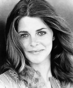 Lindsay Wagner Paint By Numbers