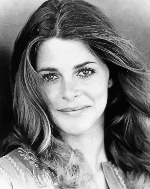 Lindsay Wagner Paint By Numbers