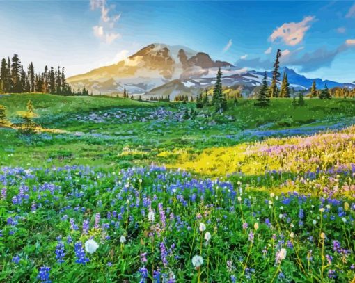 Meadow With Flowers And Snowy Mountain Paint By Numbers