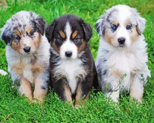 Mini Aussie Puppies Dogs Paint By Numbers