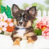 Mini Aussie Puppy With Flowers Paint By Numbers