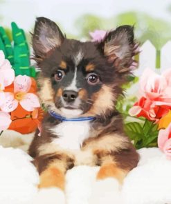 Mini Aussie Puppy With Flowers Paint By Numbers