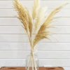 Pampas Grass Vase Paint By Number