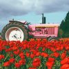 Pink Tractor In Tulips Field Paint By Numbers