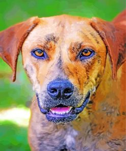 Plott Hound Dog Face Paint By Numbers