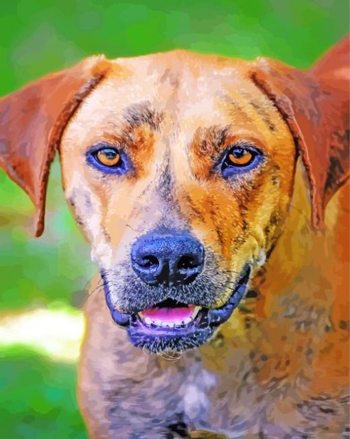 Plott Hound Dog Face Paint By Numbers