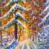 Winter Forest Paint By Numbers