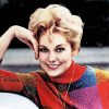 Actress Kim Novak Paint By Numbers