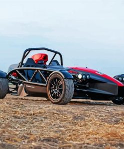 Black And Red Ariel Atom Paint By Numbers