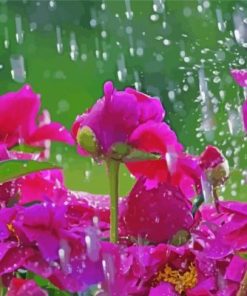 Purple Flowers In Rain Paint By Number