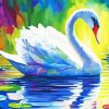 Swan Paint By Numbers