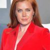 Amy Adams In Red Painting By Numbers