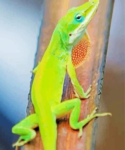 Anole Lizard Back View Painting By Numbers