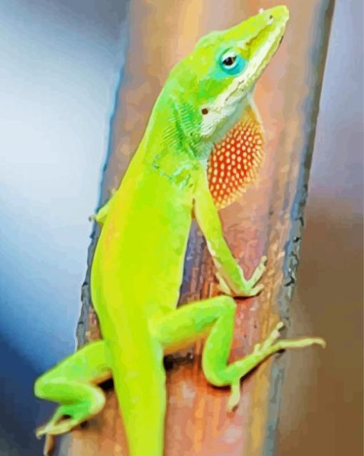 Anole Lizard Back View Painting By Numbers