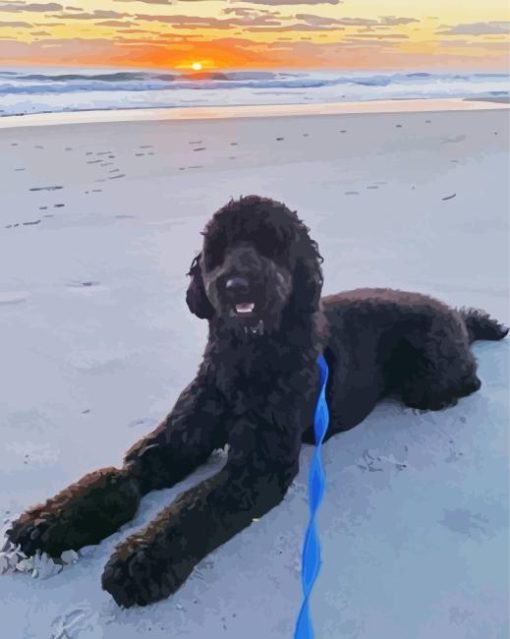 Black Goldendoodle At The Beach Painting By Numbers