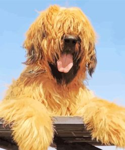 Briard Puppy Dog Painting By Numbers