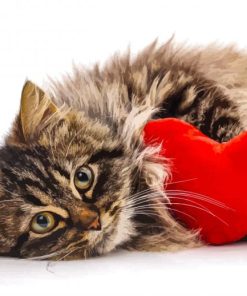 Cat With Red Heart Paint By Numbers