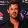 Chris Hemsworth Celebrity Painting By Numbers