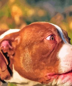 Close Up American Bully Side View Painting By Numbers