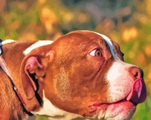 Close Up American Bully Side View Painting By Numbers