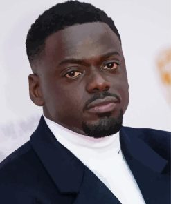 Daniel Kaluuya British Actor Painting By Numbers