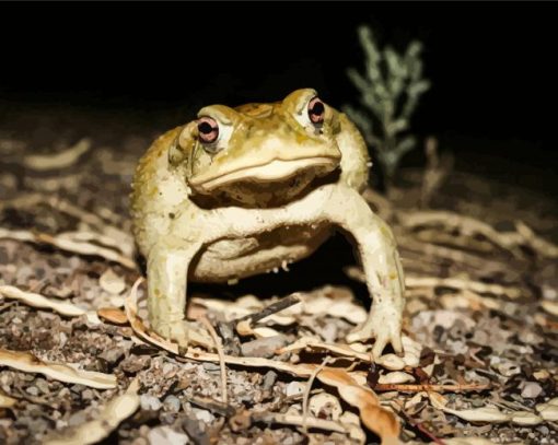 Green Angry Toad Painting By Numbers