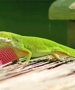 Green Anole Reptile Painting By Numbers