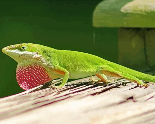 Green Anole Reptile Painting By Numbers