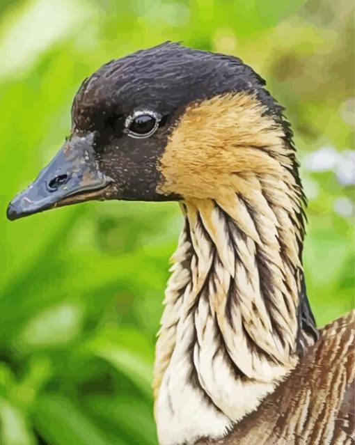 Nene Goose Head Painting By Numbers