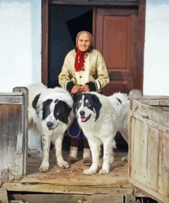 Old Woman With Romanian Shepherd Dogs Painting By Numbers