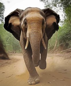 Running Elephant Painting By Numbers