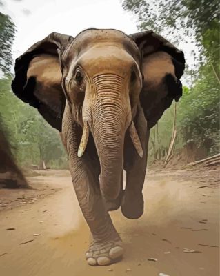 Running Elephant Painting By Numbers