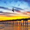 Sunset Over Jacksonville Pier Painting By Numbers