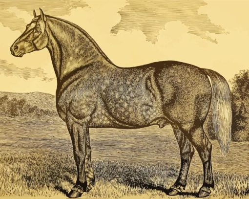 The Percheron Horse Painting By Numbers