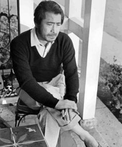 Toshiro Mifune Painting By Numbers