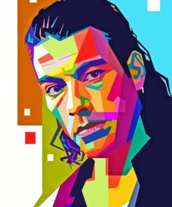 Van Damme Pop Art Paint By Numbers