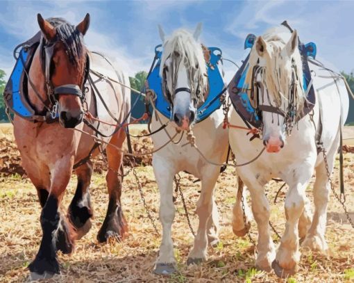 White And Brown Percheron Horses Painting By Numbers