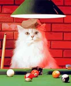 White Cat Snooker Player Painting By Numbers