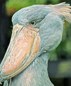 Shoebill Stork Painting By Numbers