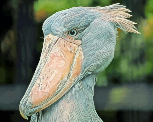 Shoebill Stork Painting By Numbers