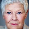 Blue Eyes Judi Dench Painting By Numbers