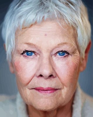 Blue Eyes Judi Dench Painting By Numbers