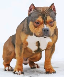 Brown American Bully Painting By Numbers