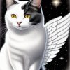 Cat With Wing Art Painting By Numbers