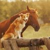 Dog And Horse Painting By Numbers