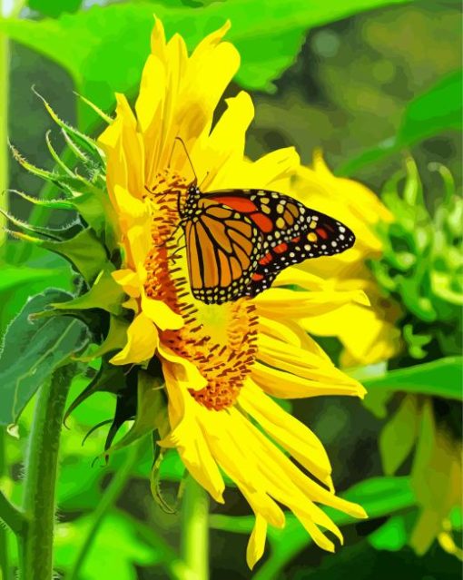 Sunflower Farm Butterfly Monarch Painting By Numbers