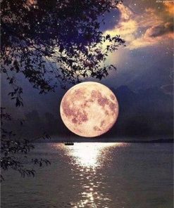 Moonlit Lake Nightscape Paint By Numbers
