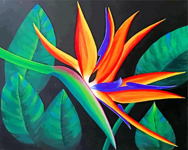 Finalizing Aesthetic Bird of Paradise Artwork by Numbers