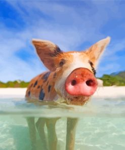 Bahama Beach Seascape Paint By Numbers