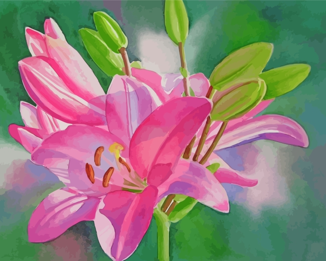 Final Pink Lilies Still Life Artwork